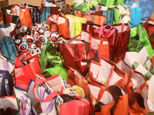 helplan-20 Support our outreach to Royal Seed Orphanage—help 150+ children with food, care, clothes & school supplies.